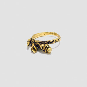 Seeds ring - Bronze